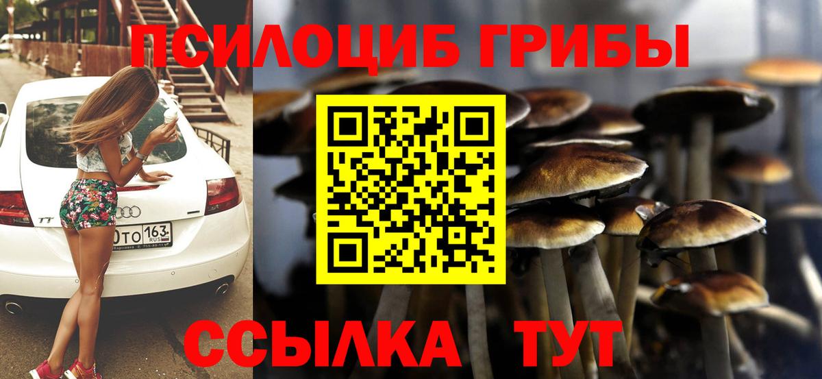 Галлюциногенные грибы Cubensis  Вход с VPN  Советск 